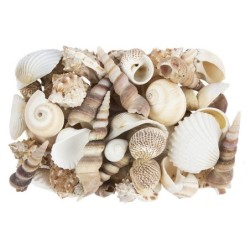 Mieszanka muszelek 450 g