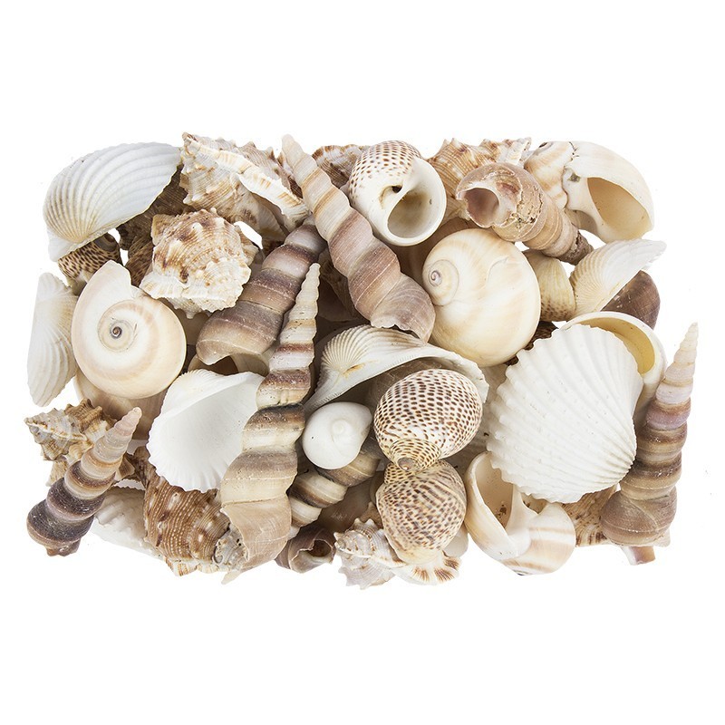 Mieszanka muszelek 450 g