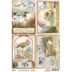 Piuma papier ryżowy, rozm. A4, Delta postcards