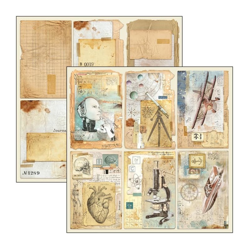 Sign of the Times zestaw 12 kartek rozm. 20,3 cm x 20,3 cm