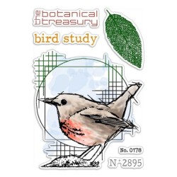 Ciao Bella stemple, zestaw 10x15cm, Bird Study