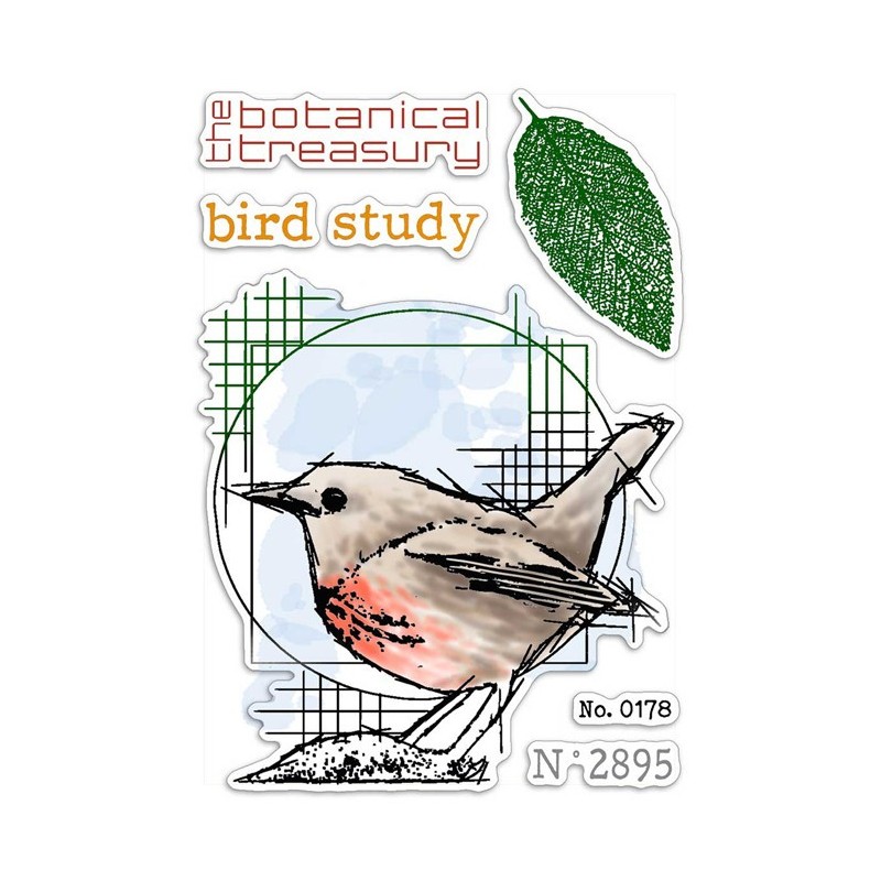 Ciao Bella stemple, zestaw 10x15cm, Bird Study