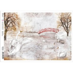 Papier ryżowy Piuma, rozm. A4, Swan Lake
