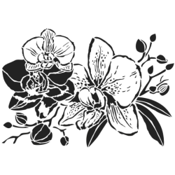 Szablon - orchidea rozm. A4